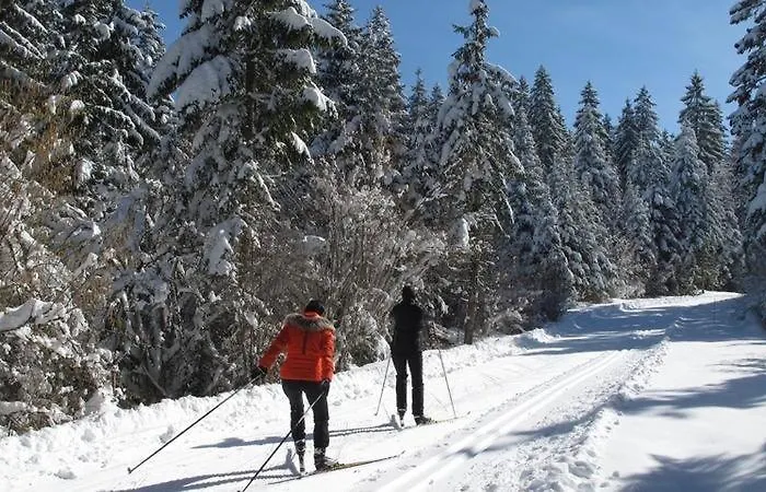 Duplex Lumineux Haut Jura